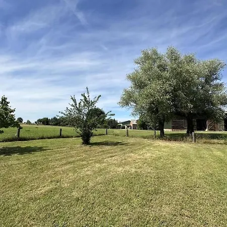 Lägenhet Alte Dorfschule *